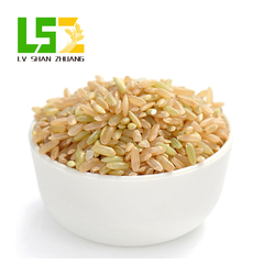 農家特產五谷雜糧 胚芽米